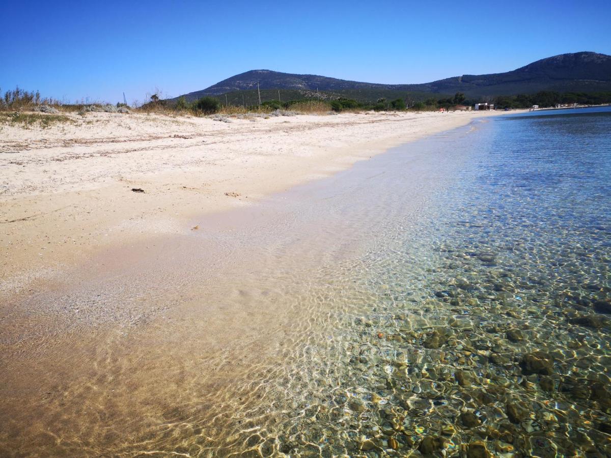 Casa Vacanze Lunatya Apartment Alghero Bagian luar foto